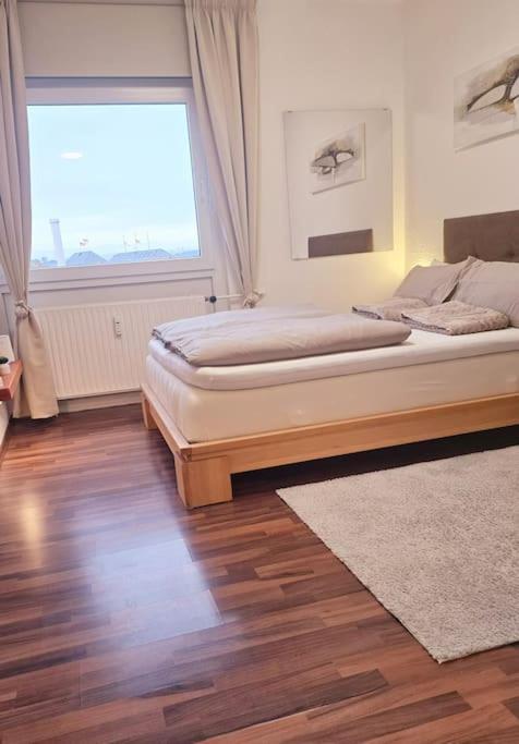 Lage Mit Rheinblick Apartment *