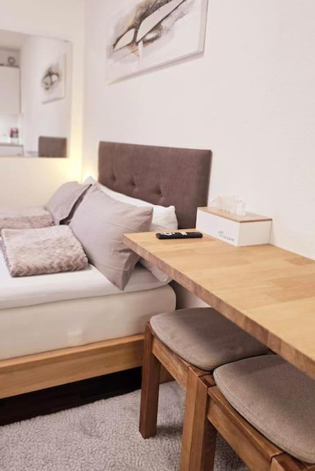 Apartment Lage Mit Rheinblick Mainz