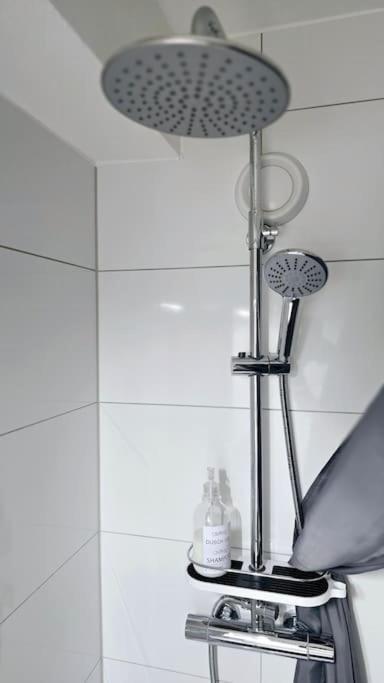 Lage Mit Rheinblick Apartment *